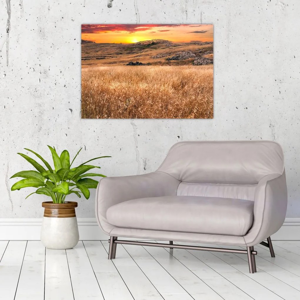 Tablou cu câmp (70x50 cm)