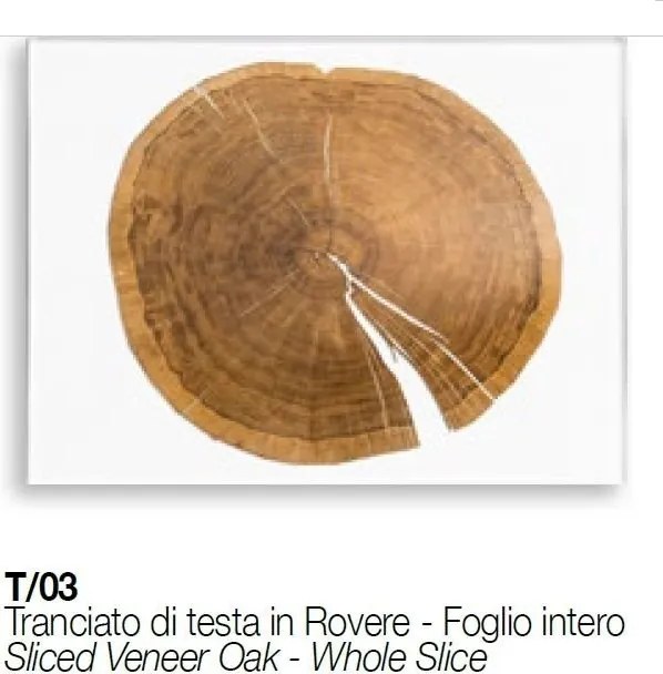 Masuta LUX design Glass-Wood FORESTA H-31cm, otel 7511923.98