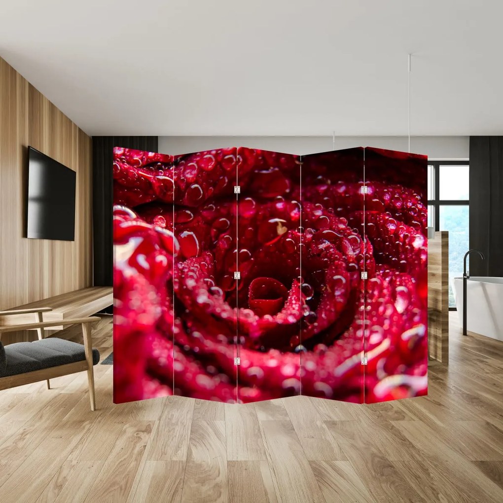 Paravan - floarea trandafirului roșu (210x170 cm)