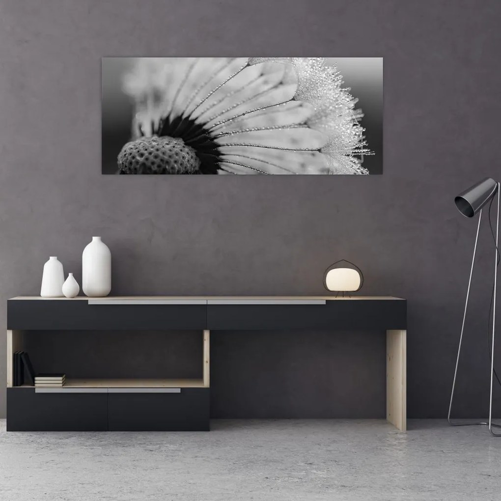 Tablou cu păpădie - albnegru (120x50 cm)