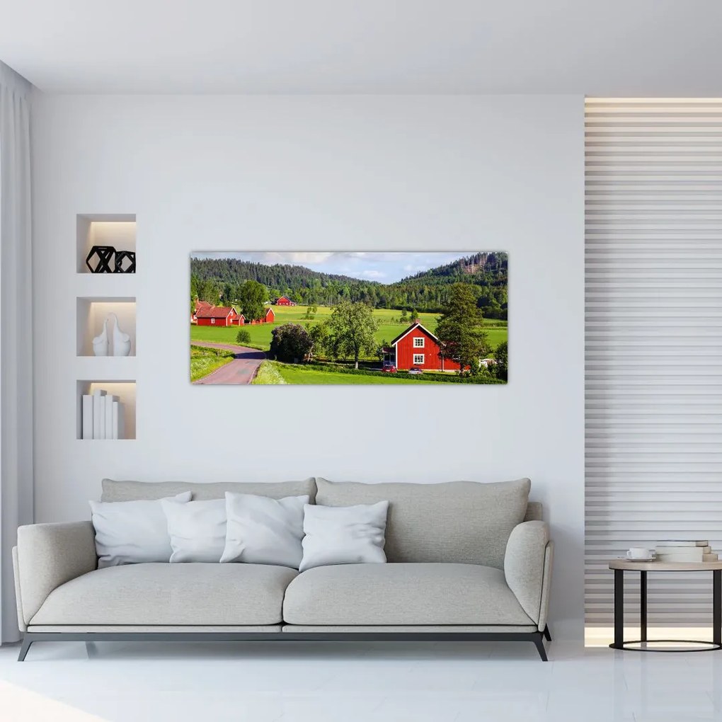 Tabloul cu țară (120x50 cm)