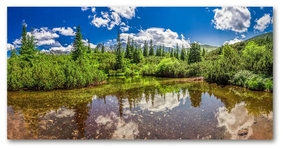 Tablou acrilic Lacul în pădure
