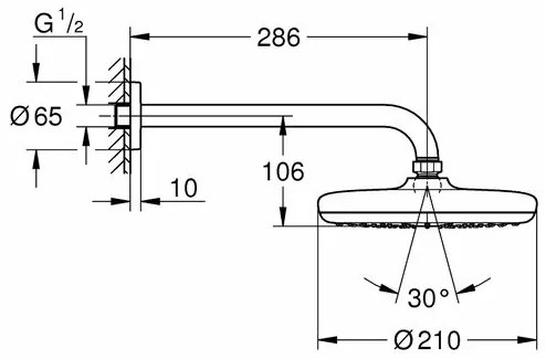 Palarie de dus rotunda Grohe New Tempesta 210 cu brat de dus crom