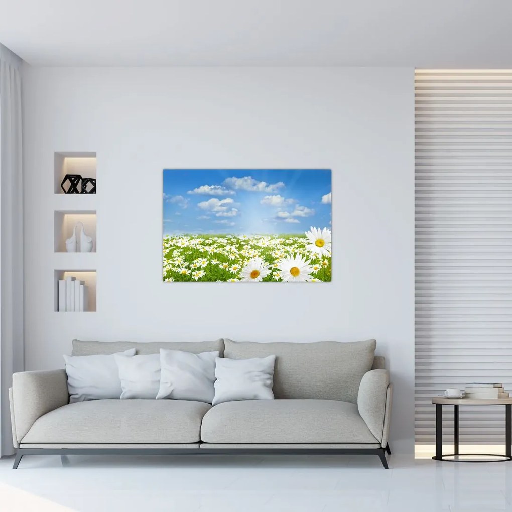 Tablou cu luncă înflorită cu margarete (90x60 cm)