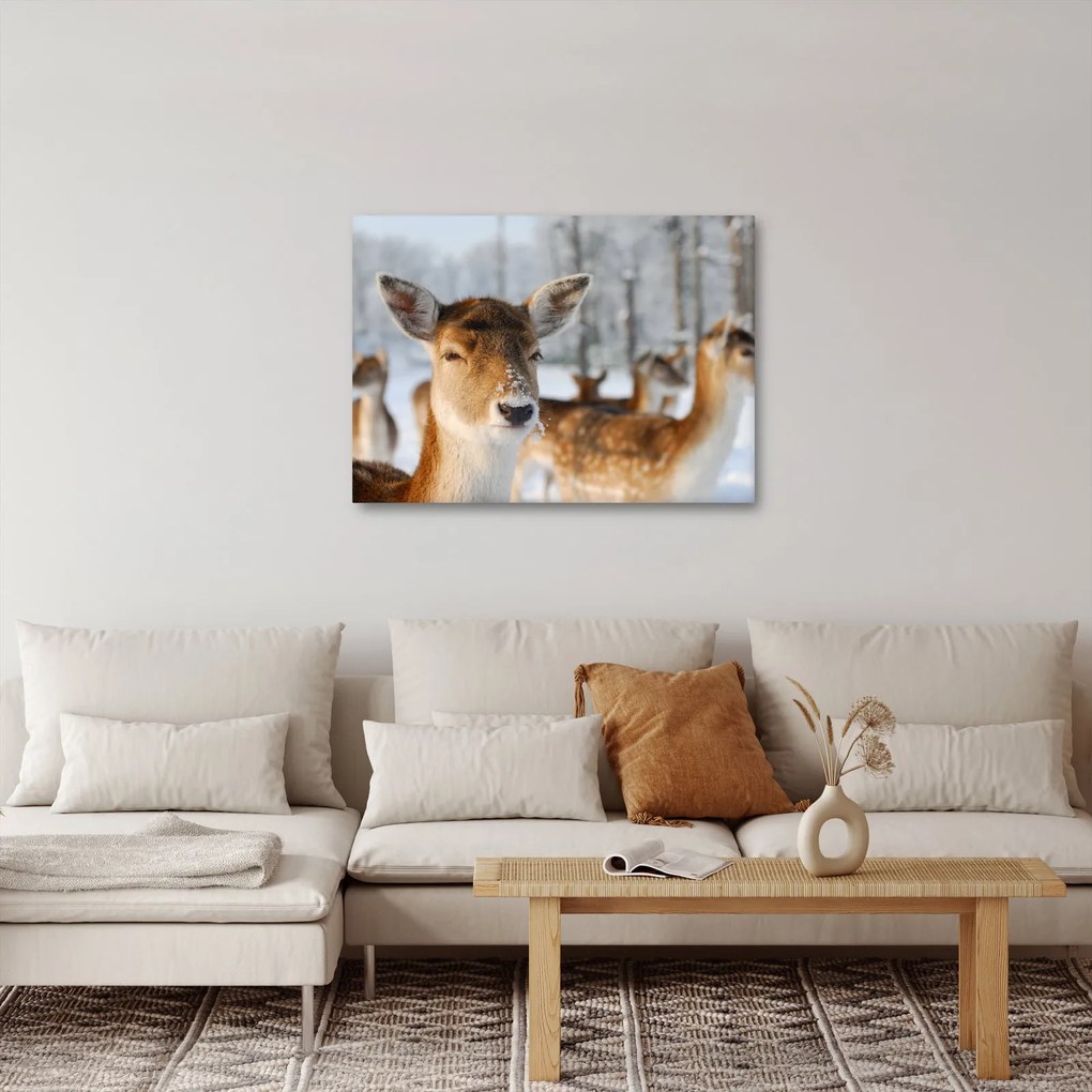 Tablou - Cerbi (70x50 cm)