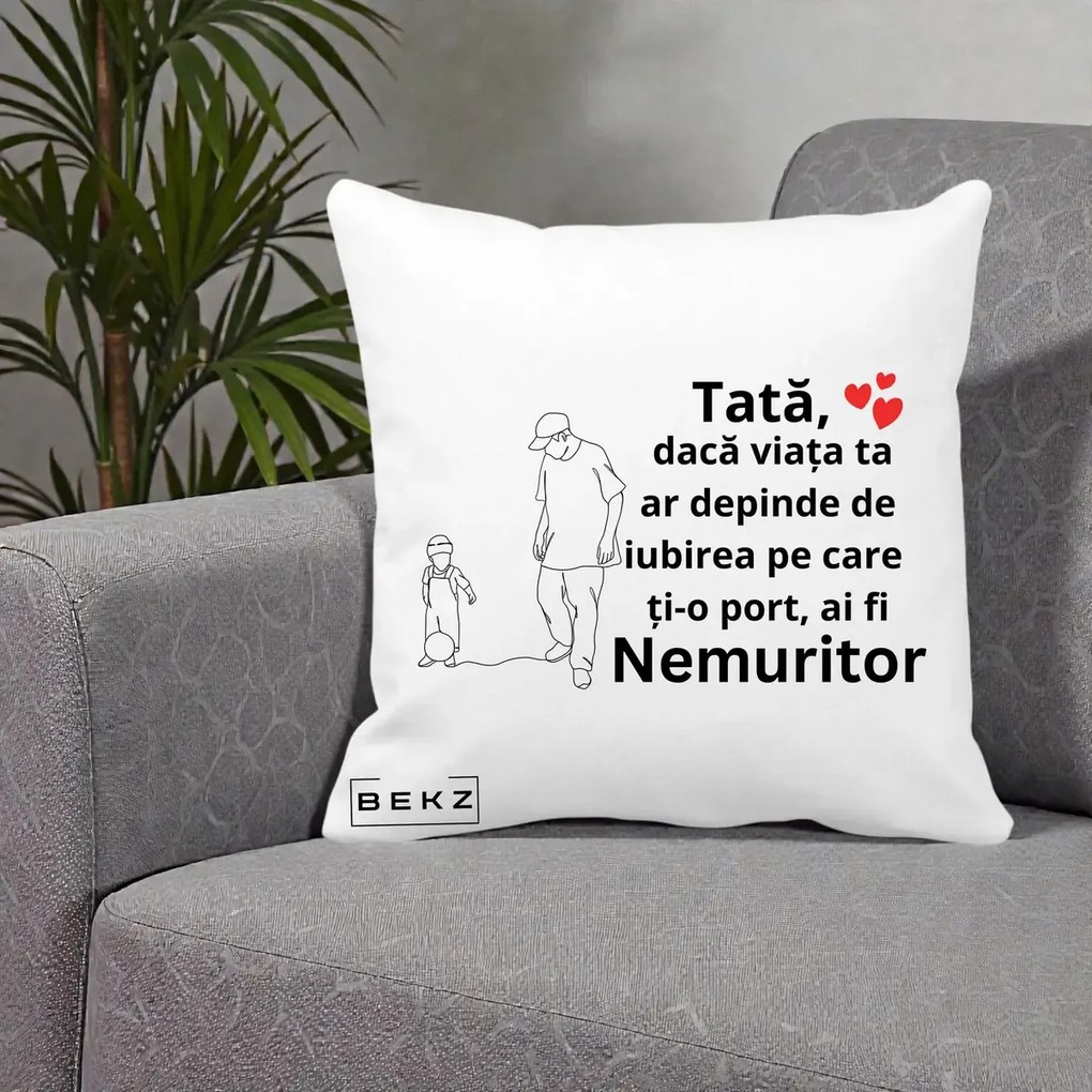 Cadou pentru Tata - Perna Personalizata Tata Nemuritor Joaca cu Mingea, 40x40 cm, Alba Mata, Husa Detasabila, Perna Inclusa, BEKZ®