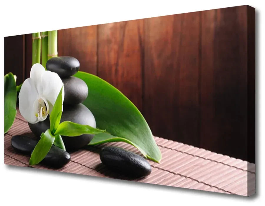 Tablou pe panza canvas Pietrele de flori Frunze Floral Alb Negru Verde