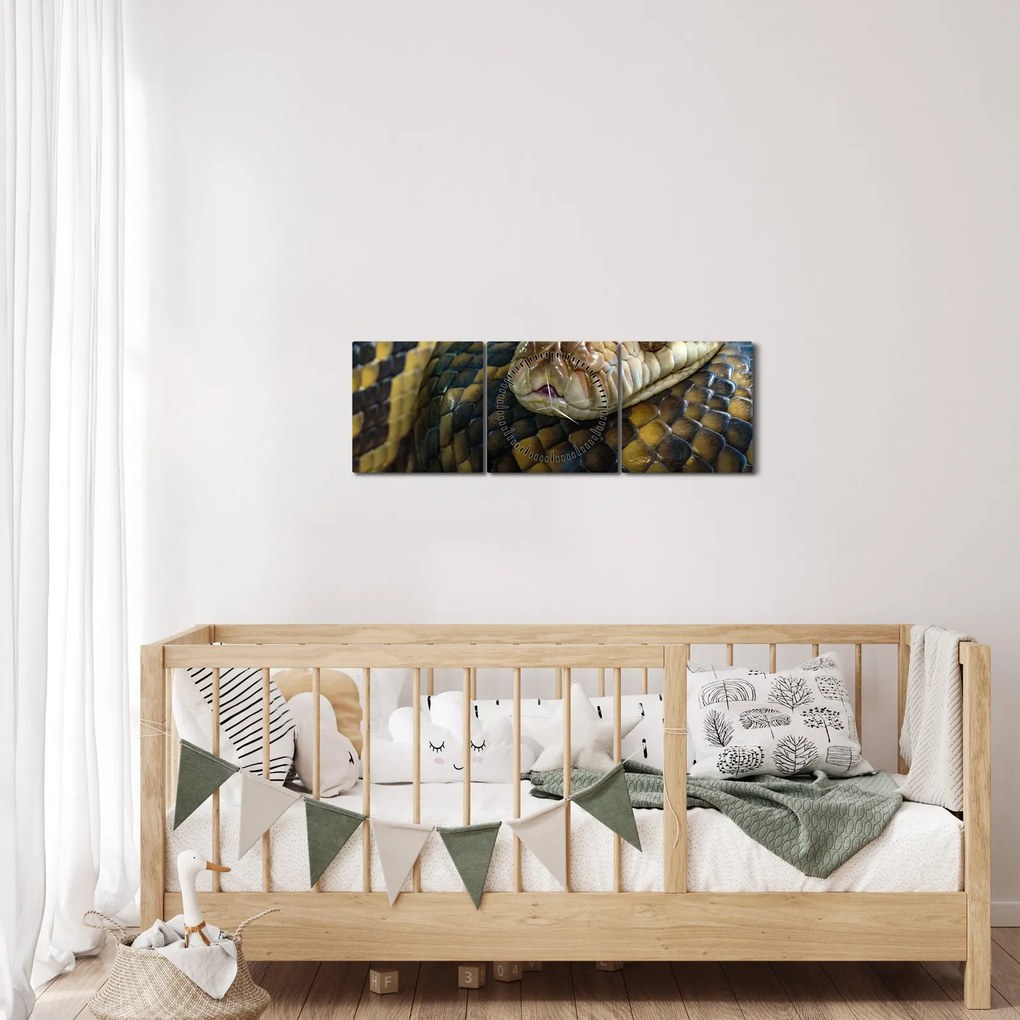 Tablou - Piton (cu ceas) (90x30 cm)