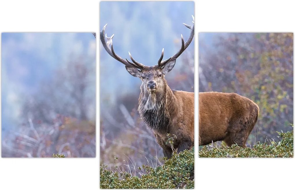 Tablou - Cerb în peisaj (90x60 cm)