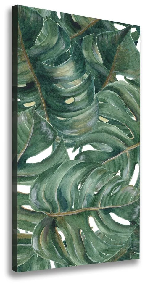 Tablou canvas Monstera