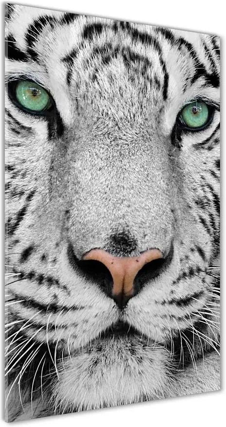 Tablou pe acril Tigru alb