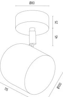 Aplica de perete / tavan cu spot design modern Isola auriu