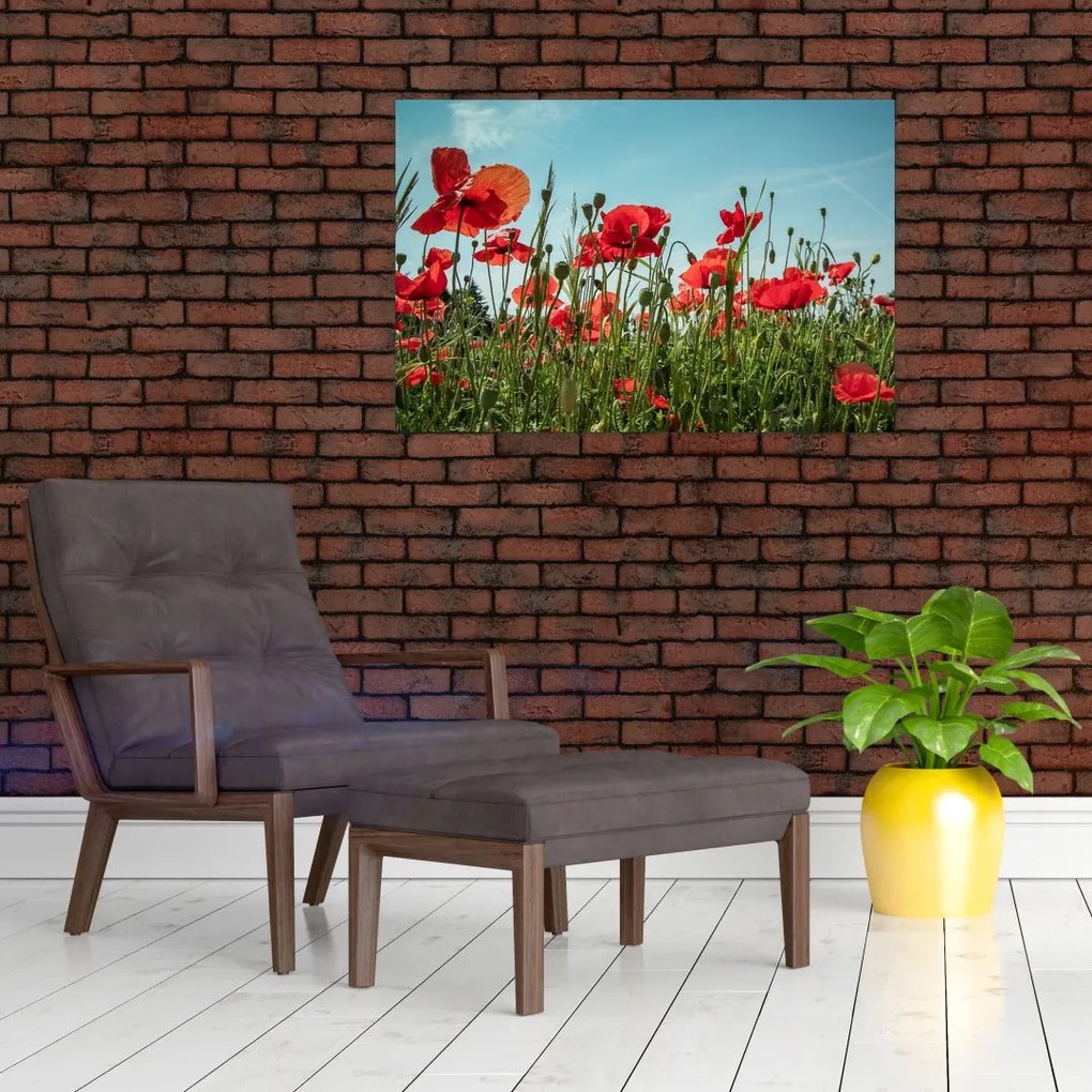 Tablou - Pe câmpul cu maci (90x60 cm)