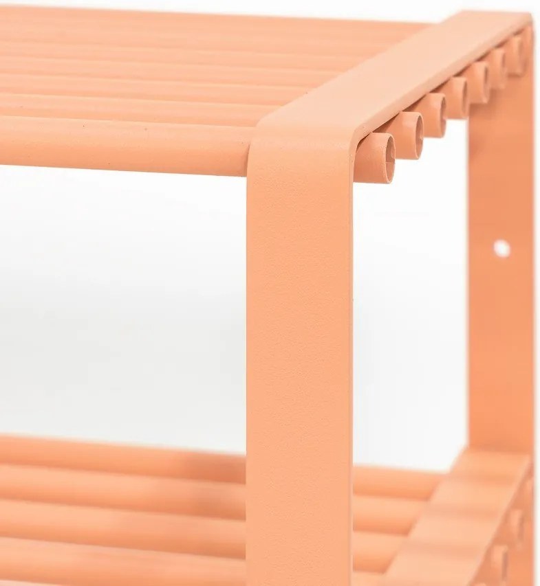 Pantofar somon din oțel 100x48,5x29 cm Rex – Spinder Design