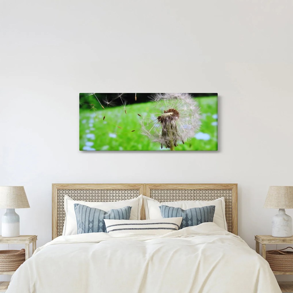 Tablou cu păpădie (120x50 cm)
