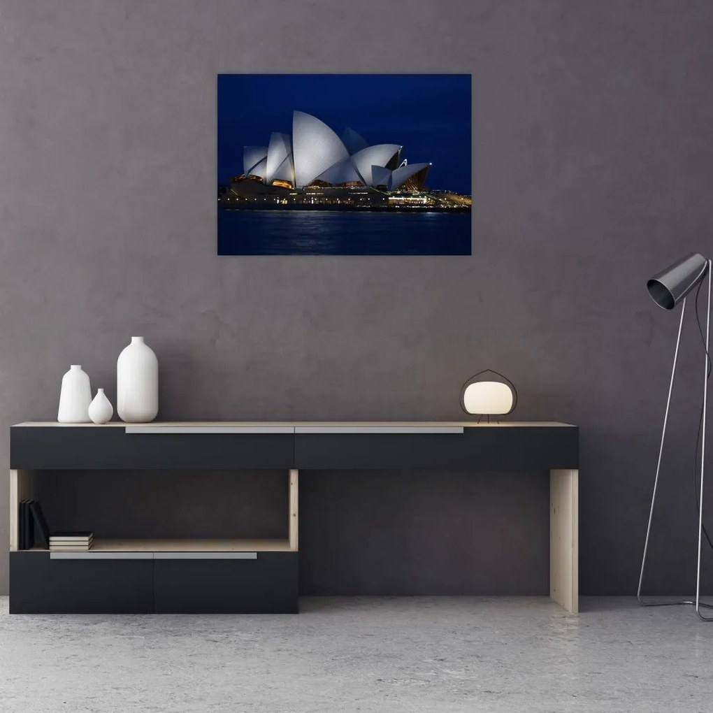 Tabloul Sydney nocturn (70x50 cm)