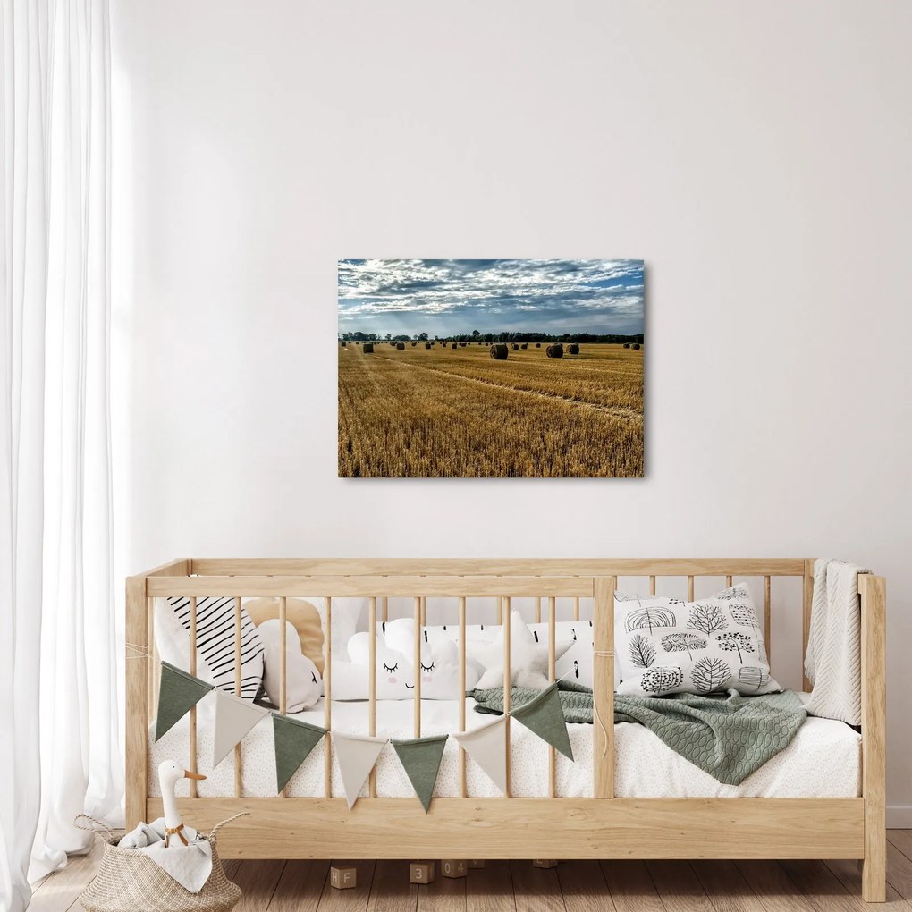 Tablou cu câmp recoltat (70x50 cm)