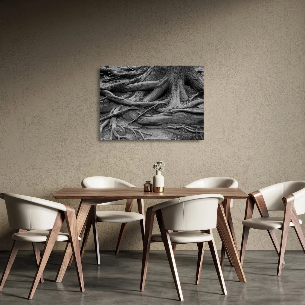 Tablou pe sticlă - Rădăcinile copacului (70x50 cm)