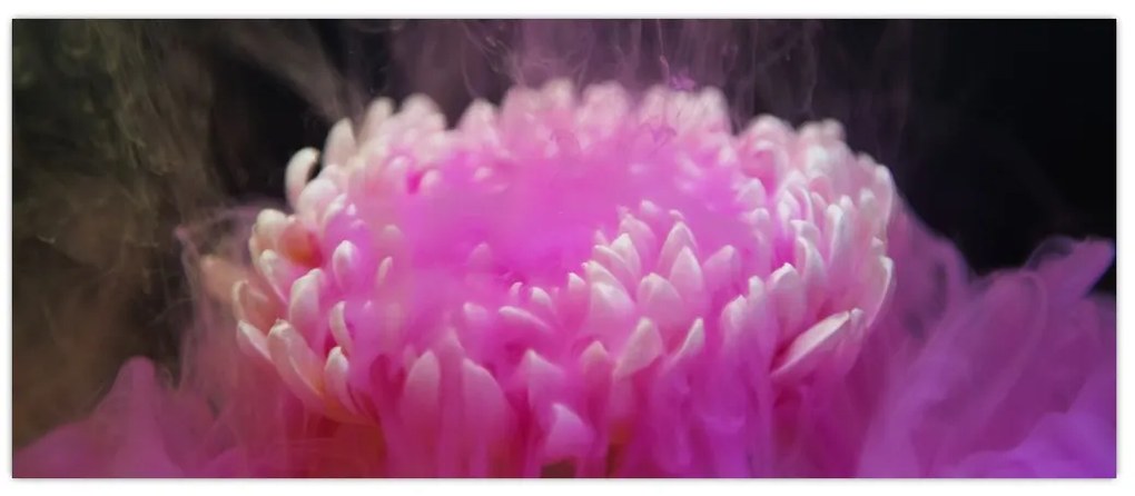 Tablou cu floare în fum roz (120x50 cm)