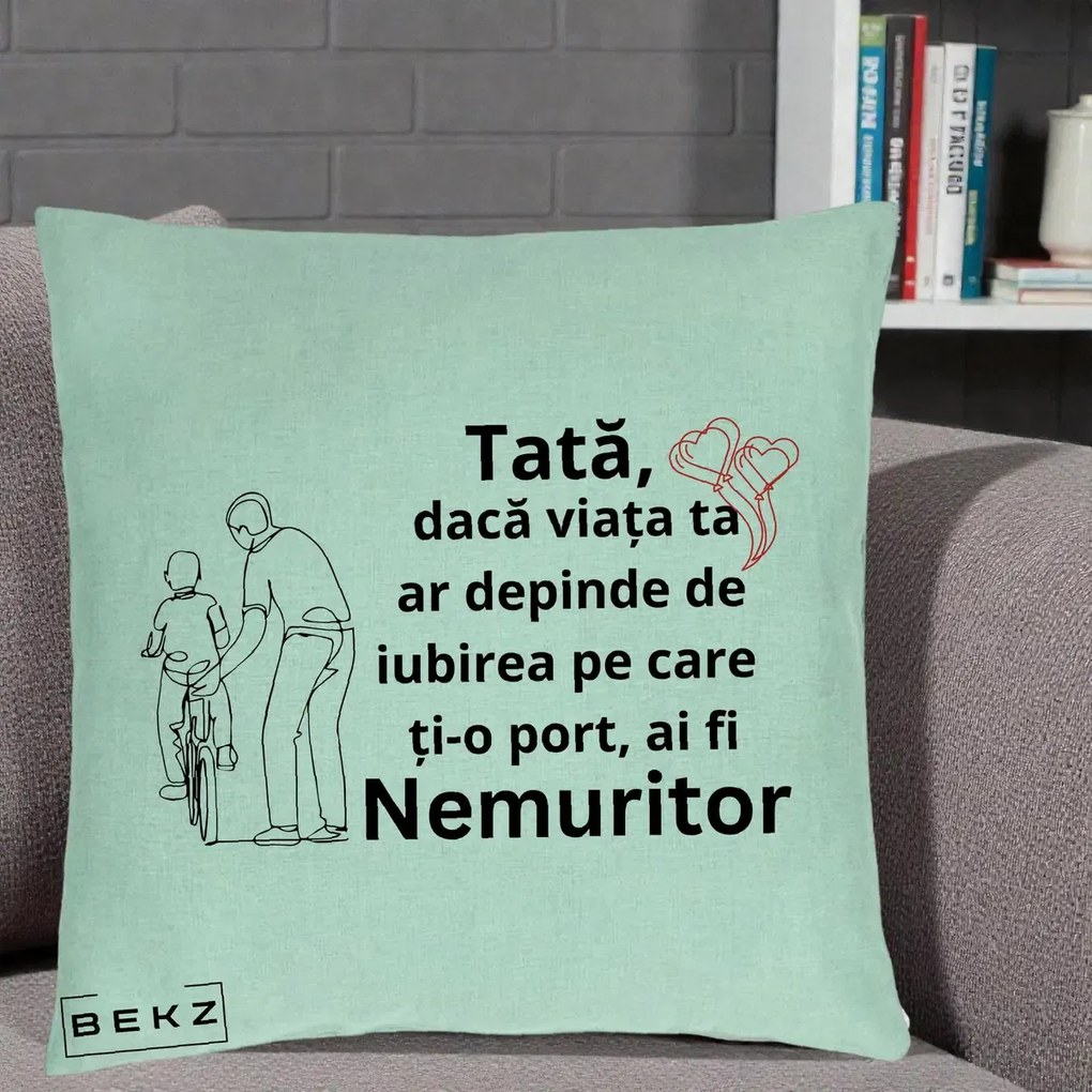 Cadou pentru Tata - Perna Personalizata Tata Nemuritor Bicicleta, 40x40 cm, Verde Menta, Husa Detasabila, Perna Inclusa, BEKZ®