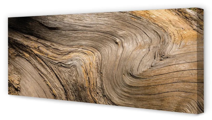 Tablouri canvas Textura de lemn de cereale