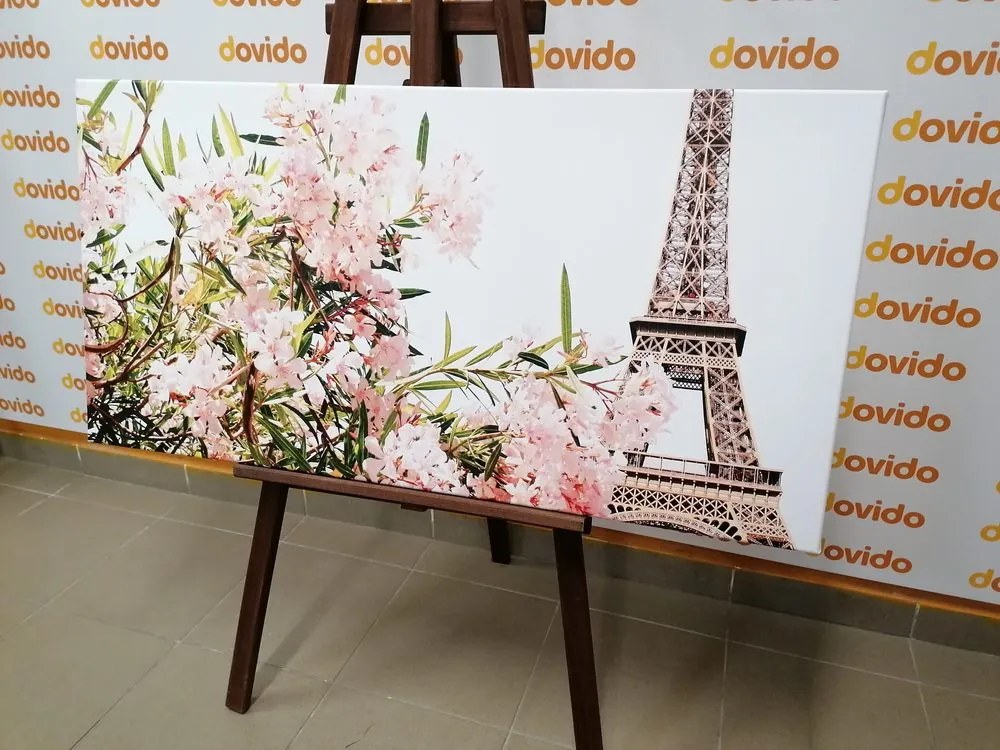 Tablou Turnul Eiffel și florile roz