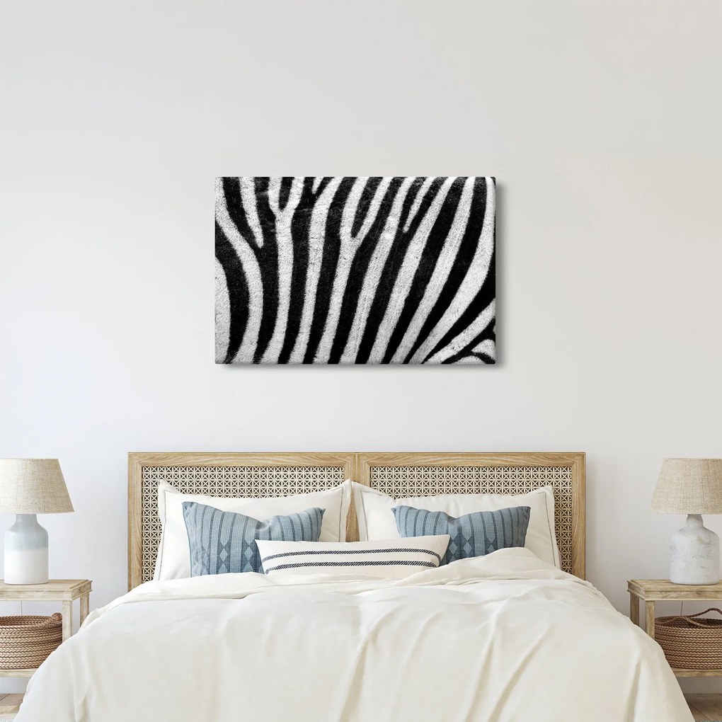 Tablou cu piele de zebră (90x60 cm)