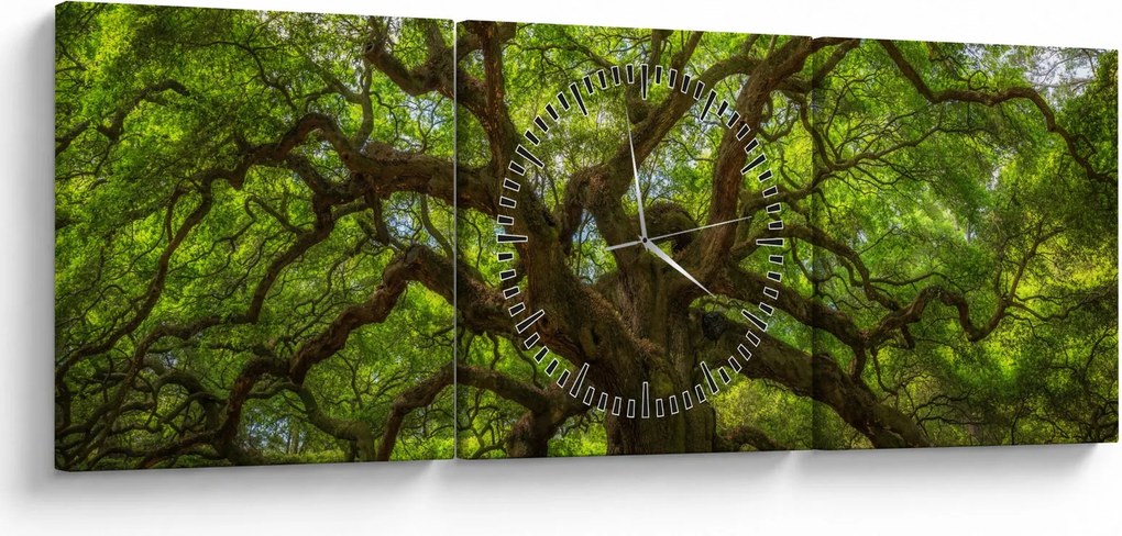 Tablou - Copac verde (cu ceas) (90x30 cm)