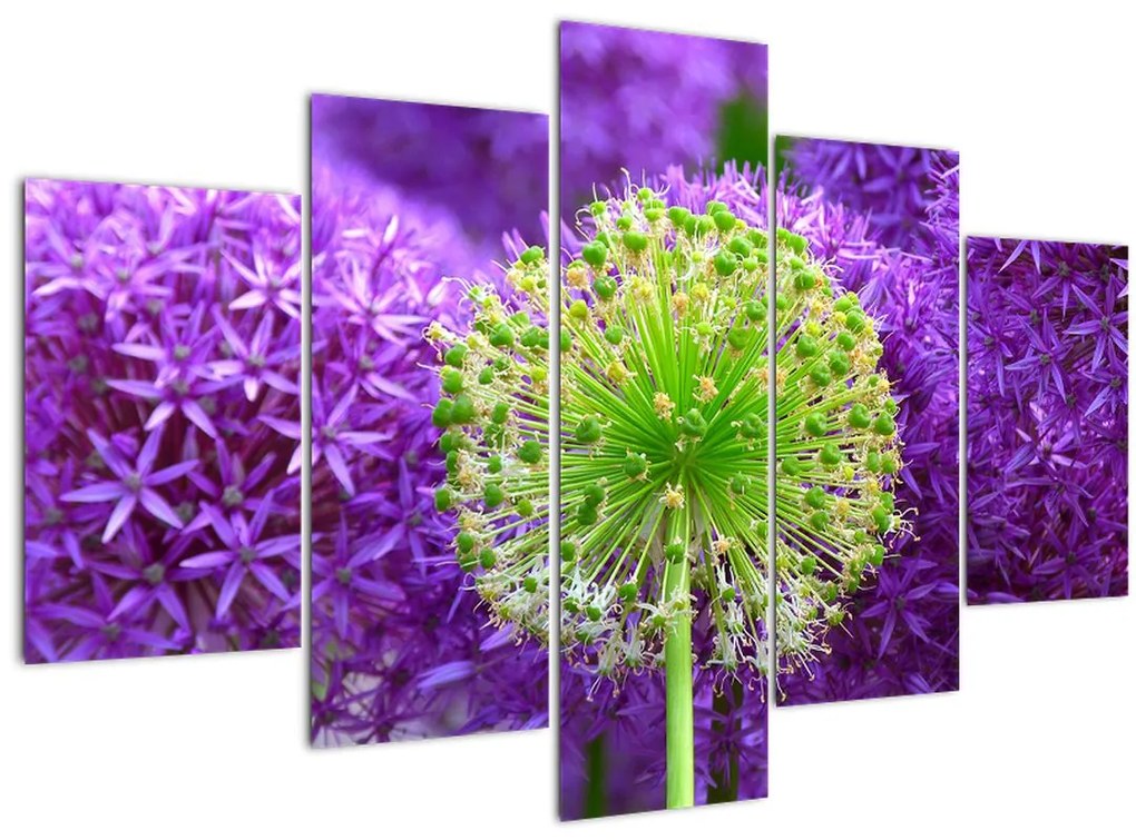 Tablou cu floare (150x105 cm)