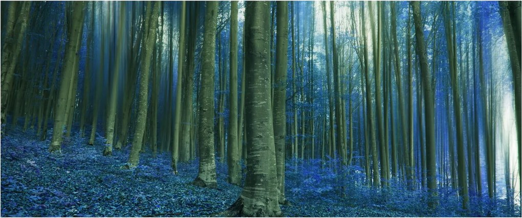 Tablou - Pădure albastră (120x50 cm)