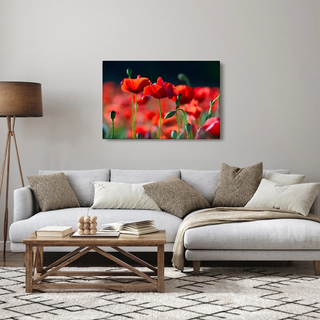 Tablou - flori de maci (90x60 cm)
