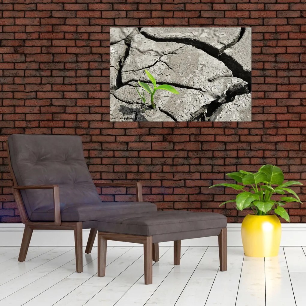 Tablou - Fisuri (90x60 cm)