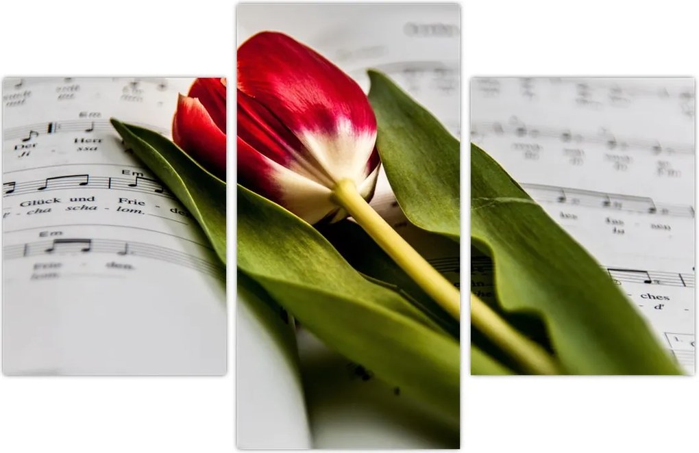 Tablou - Lalea roșie (90x60 cm)