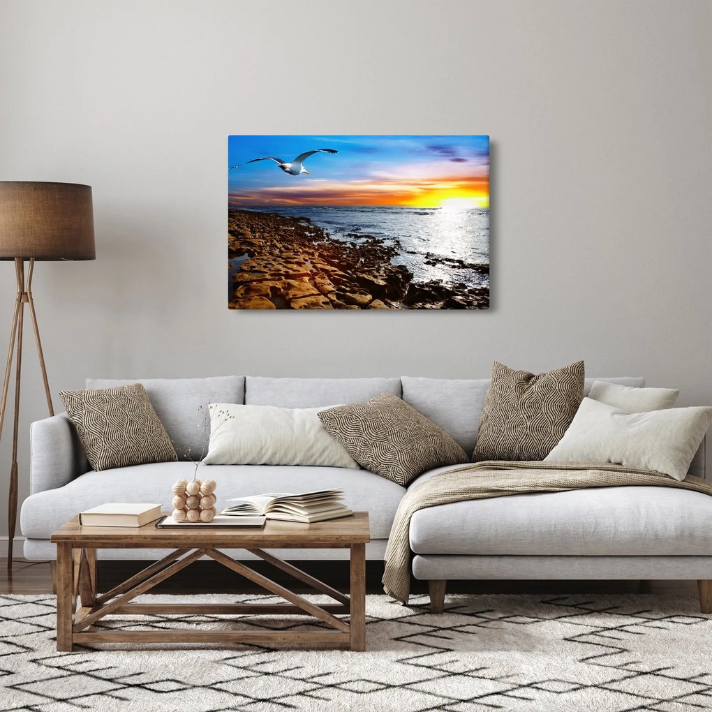 Tablou - Pescărușul zboară deasupra coastei (90x60 cm)