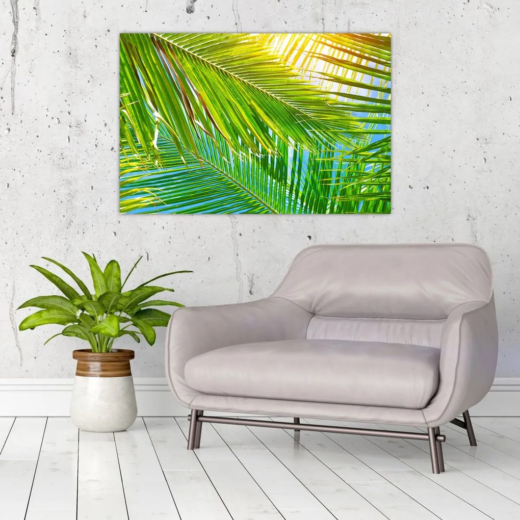 Tablou - Frunze de palmier (90x60 cm)