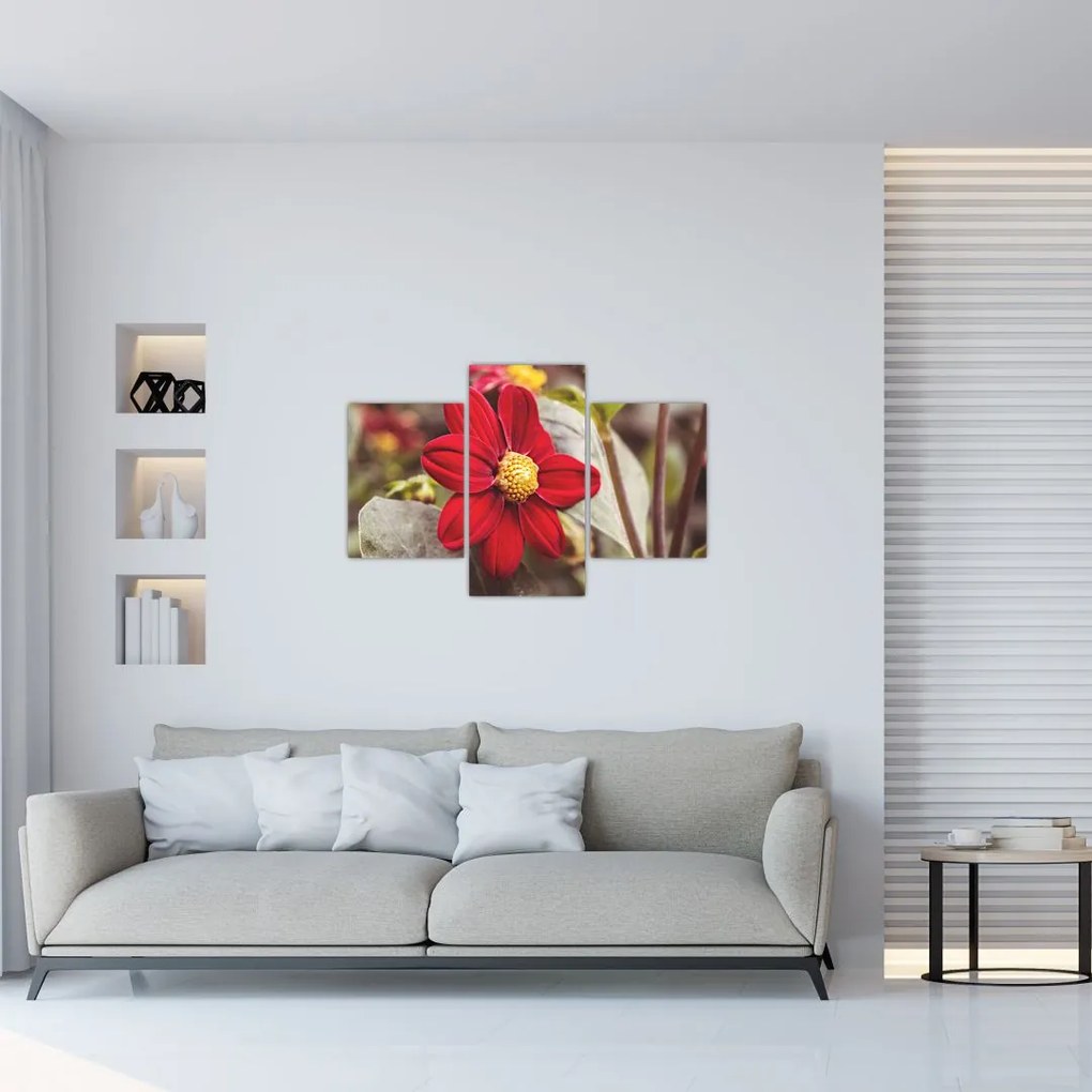 Tablou cu floare (90x60 cm)