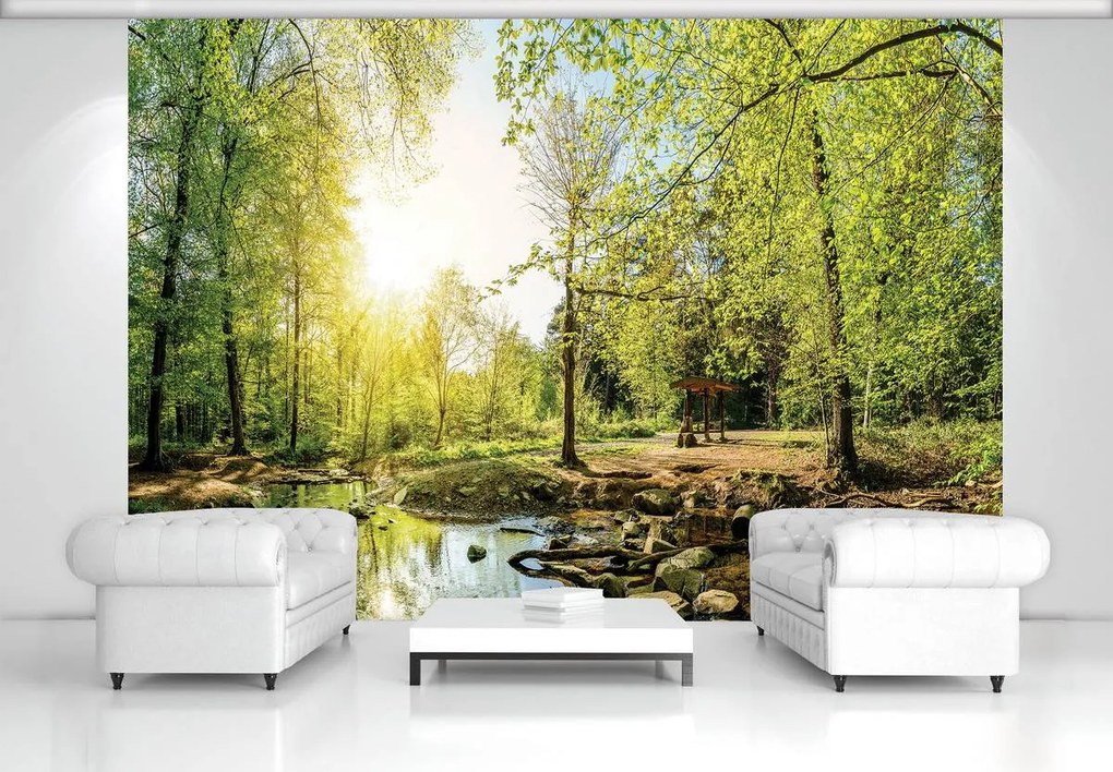 Fototapet - Pădurea verde (152,5x104 cm)