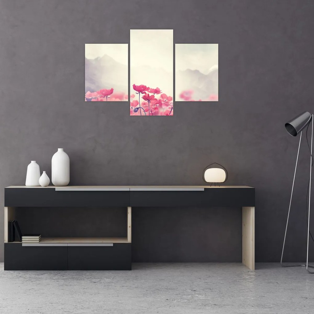 Tablou - Maci (90x60 cm)