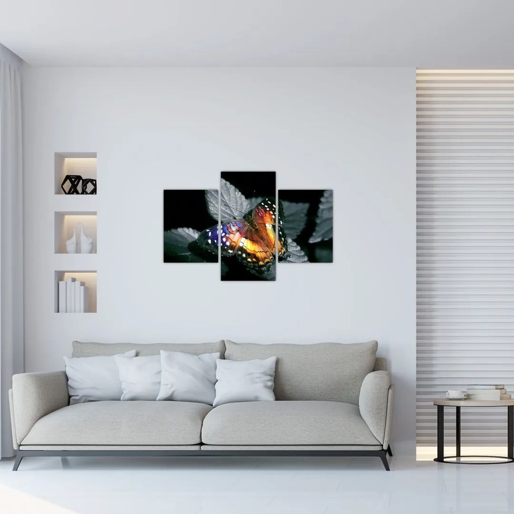 Tablou cu fluture (90x60 cm)