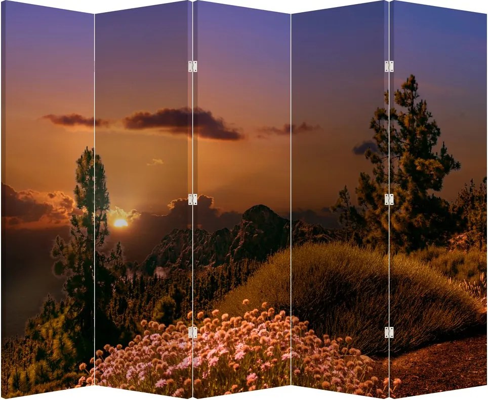 Paravan naturii - Apus de soare (210x170 cm)