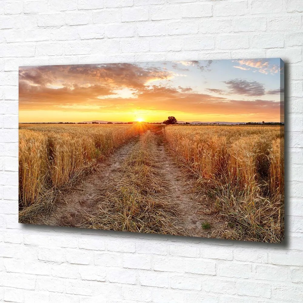 Print pe canvas Câmp de grâu