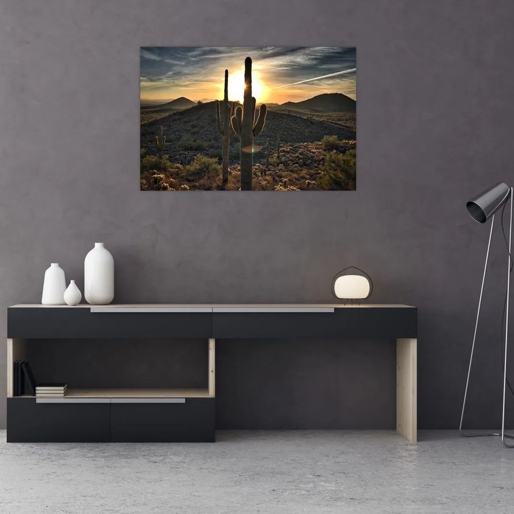 Tablou - cactușii la soare (90x60 cm)