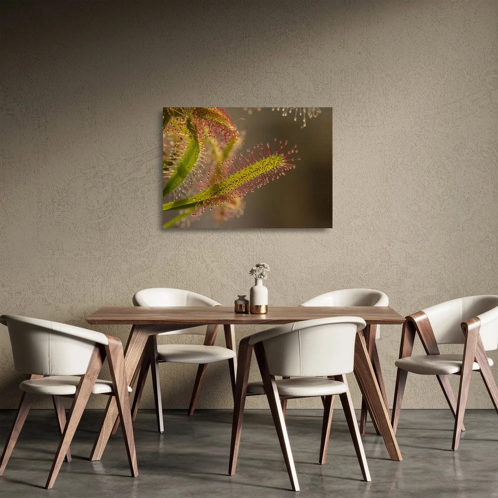 Tablou pe sticlă cu plantă (70x50 cm)