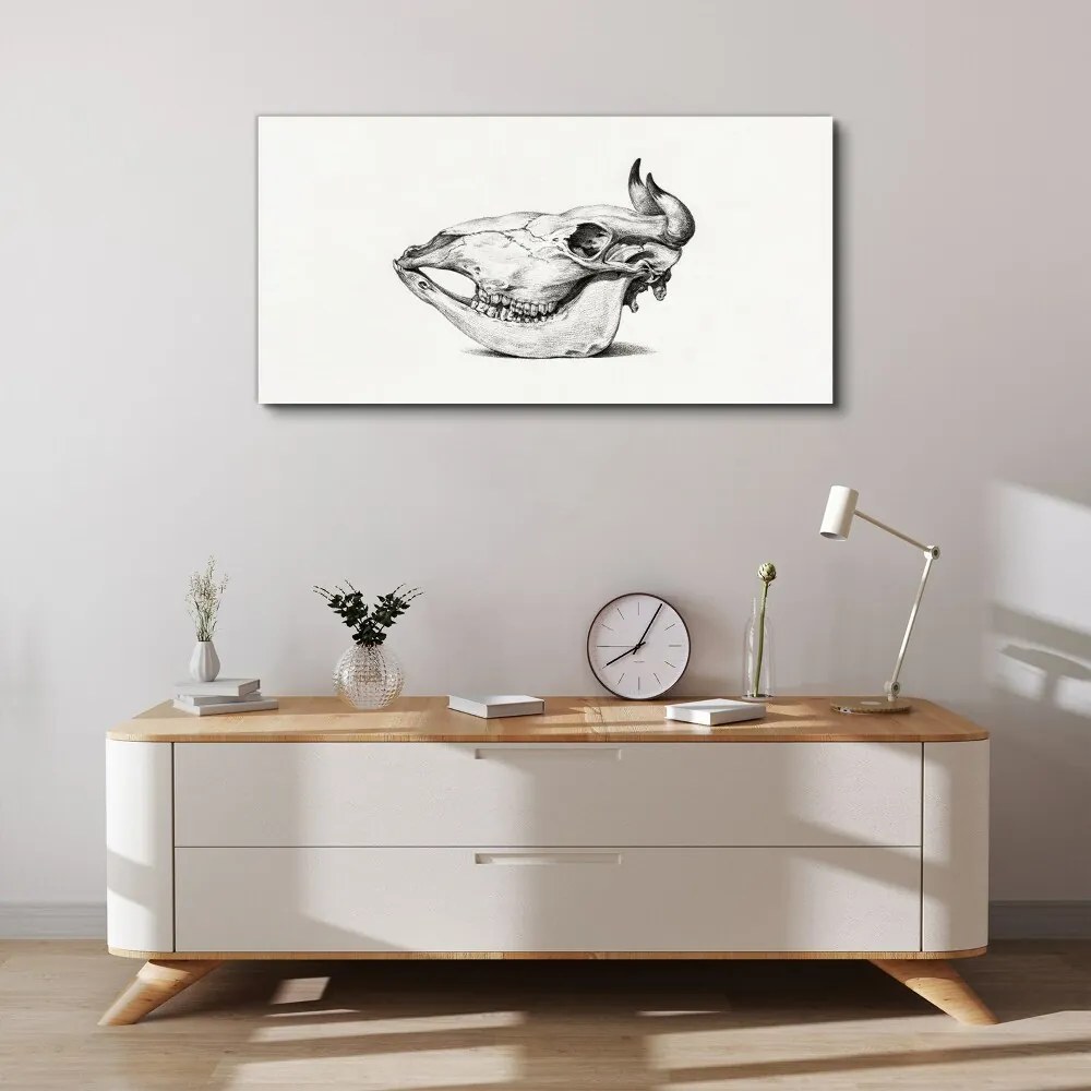 Tablou canvas Desen craniu de vacă