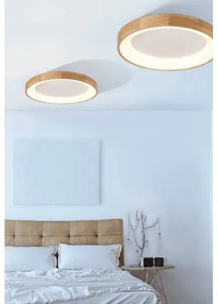 Azzardo AZ2698 - Plafonieră LED SILVAM 1xLED/50W/230V