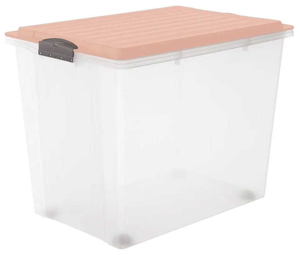 Cutie de depozitare din plastic cu capac Compact – Rotho