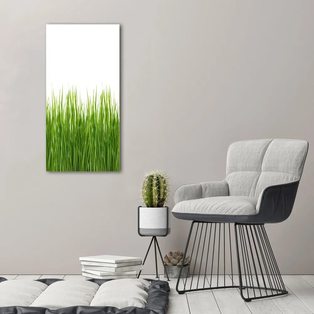 Imprimare tablou canvas Iarbă verde