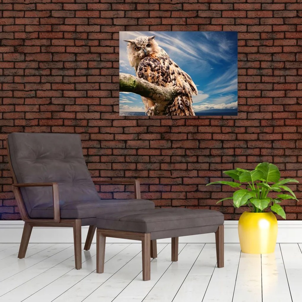 Tablou pe sticlă - Bufniță (70x50 cm)