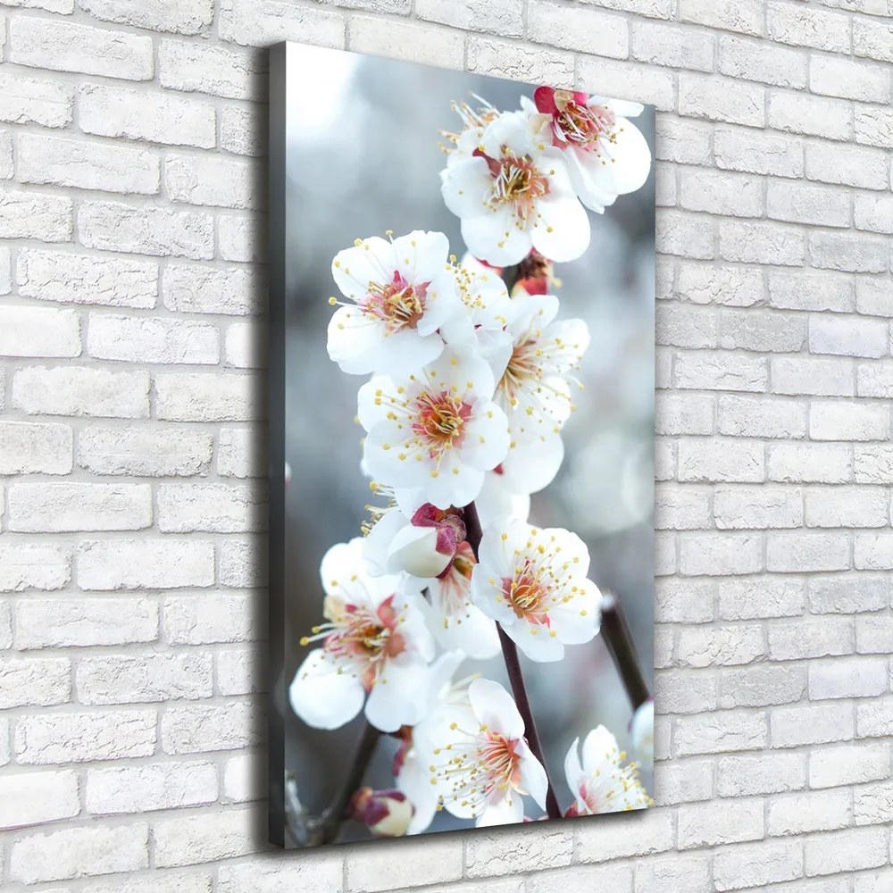 Imprimare tablou canvas Flori de cireș