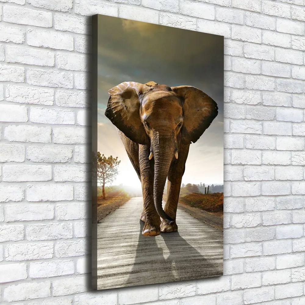 Print pe pânză Elefant de mers pe jos